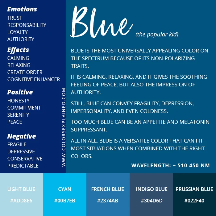 NAVY BLUE definition in American English