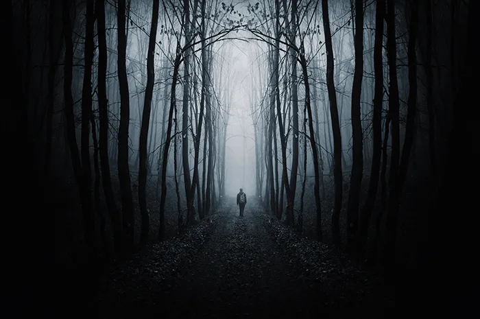 Man walking on a path in a black forest surrounded by darkness