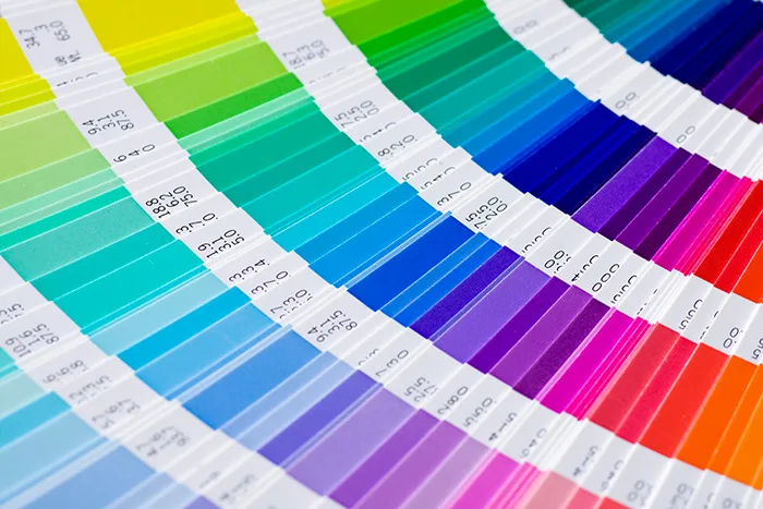 Colorful pantone to explain the meanings of the colors