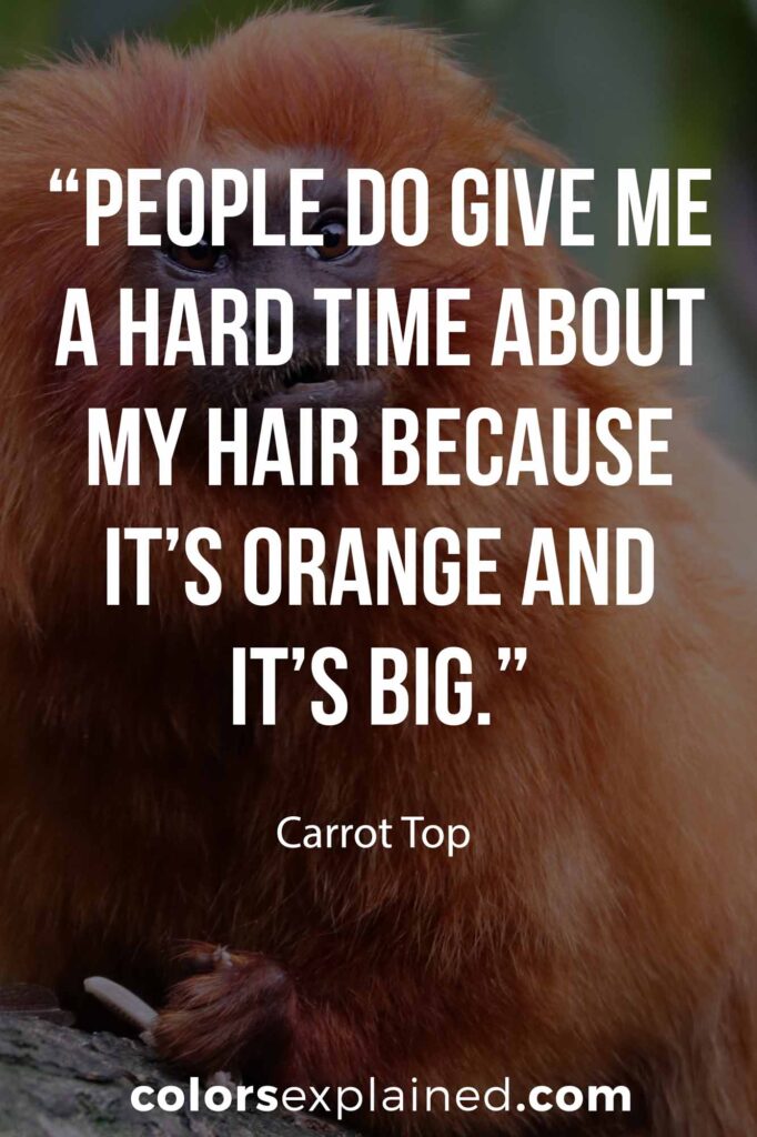 Quote about orange