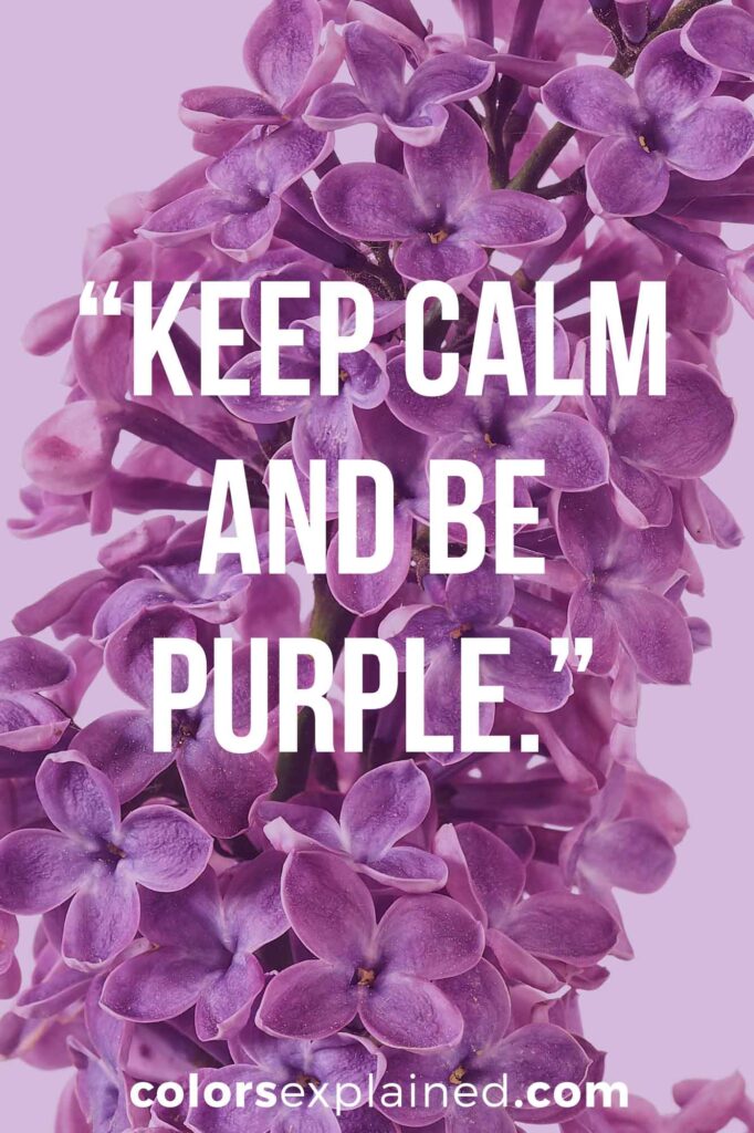 Quotes about purple