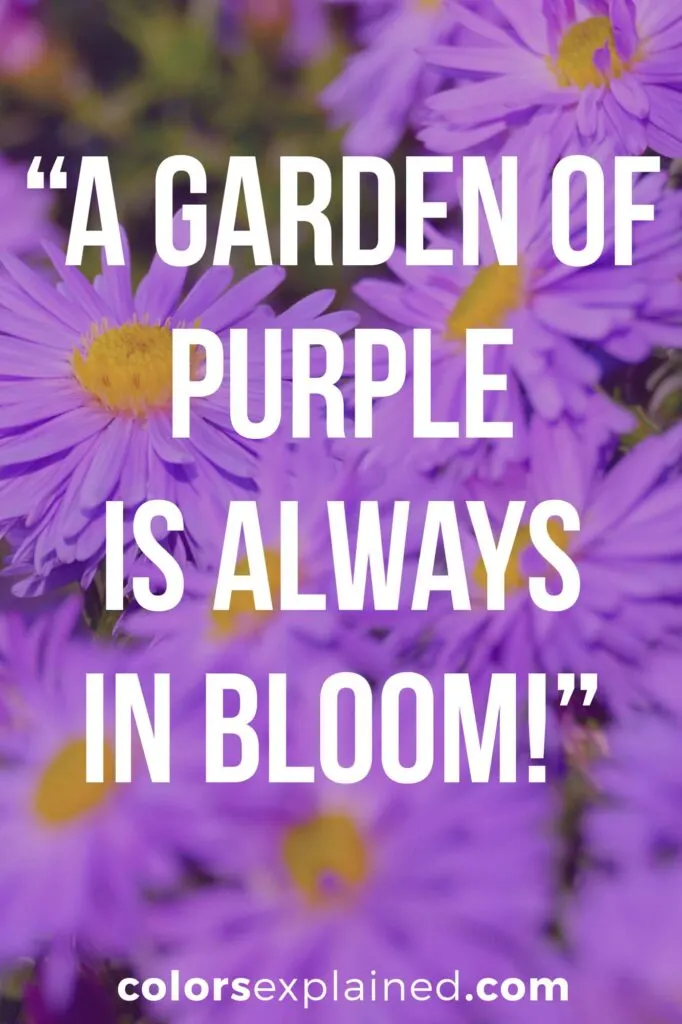 Quotes about purple