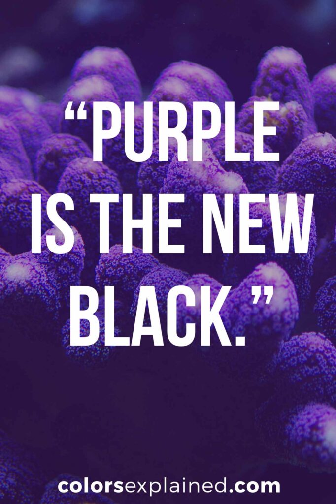 Quotes on purple