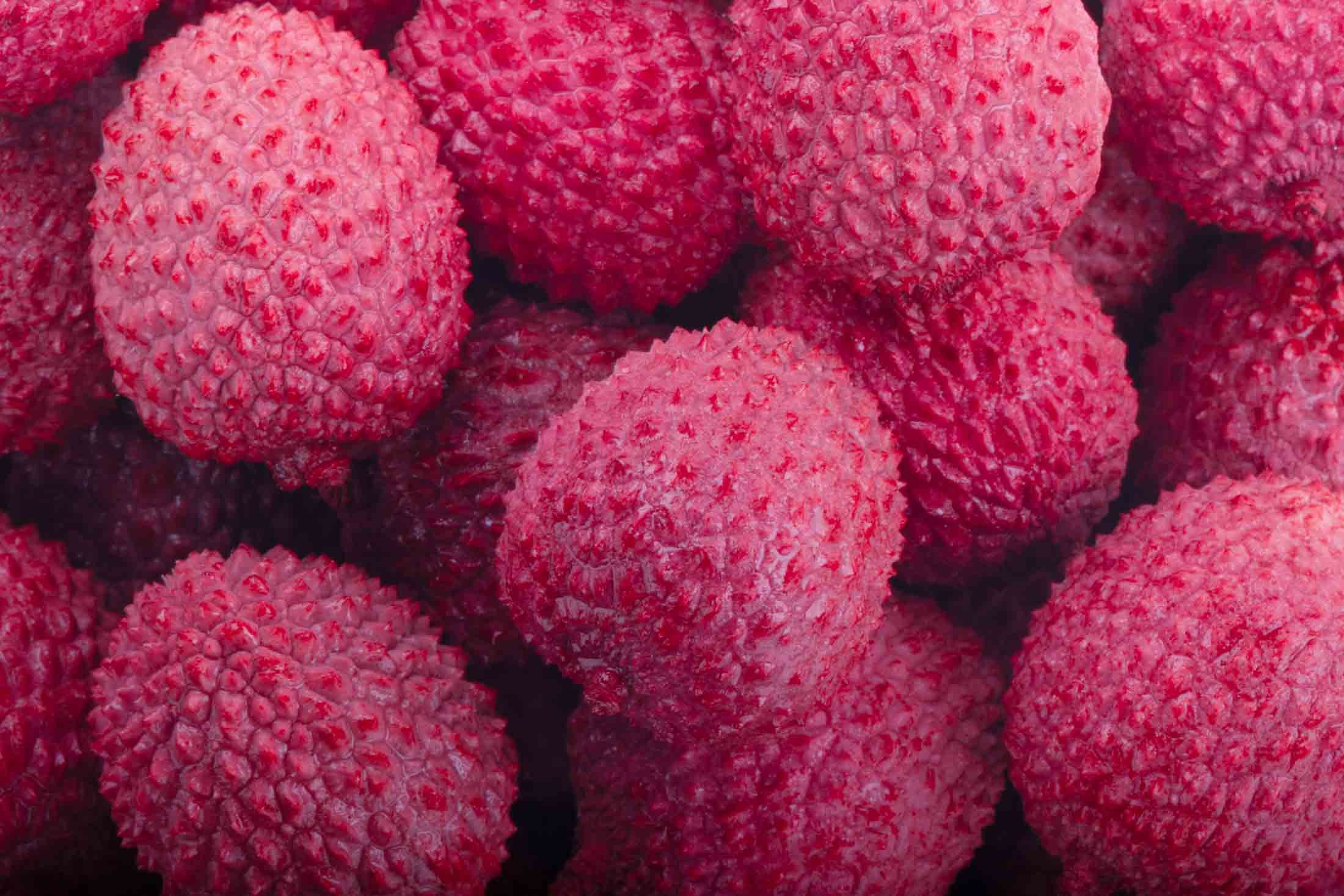 Pink Things 101 Things That Are Pink in Nature (2022) • Colors Explained