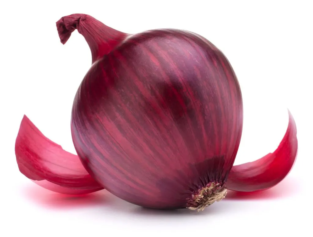 Red onion