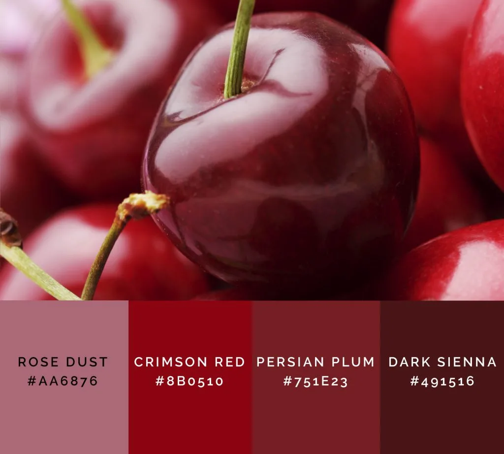 Cherry palette has shades of red