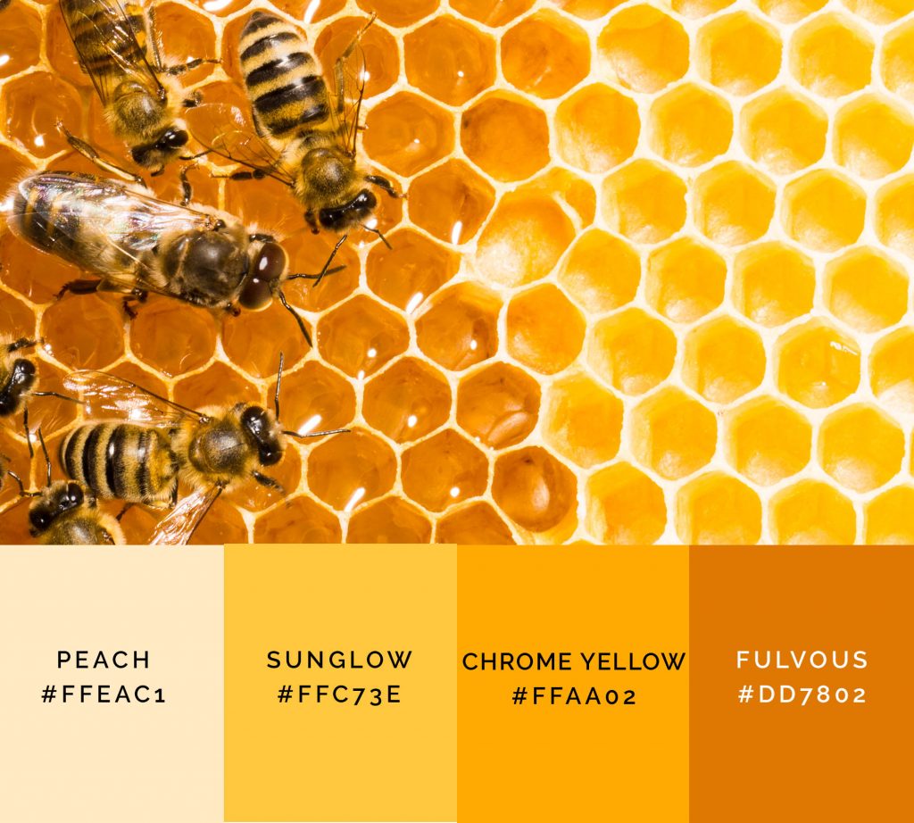 Honeycomb palette has shades of yellow color