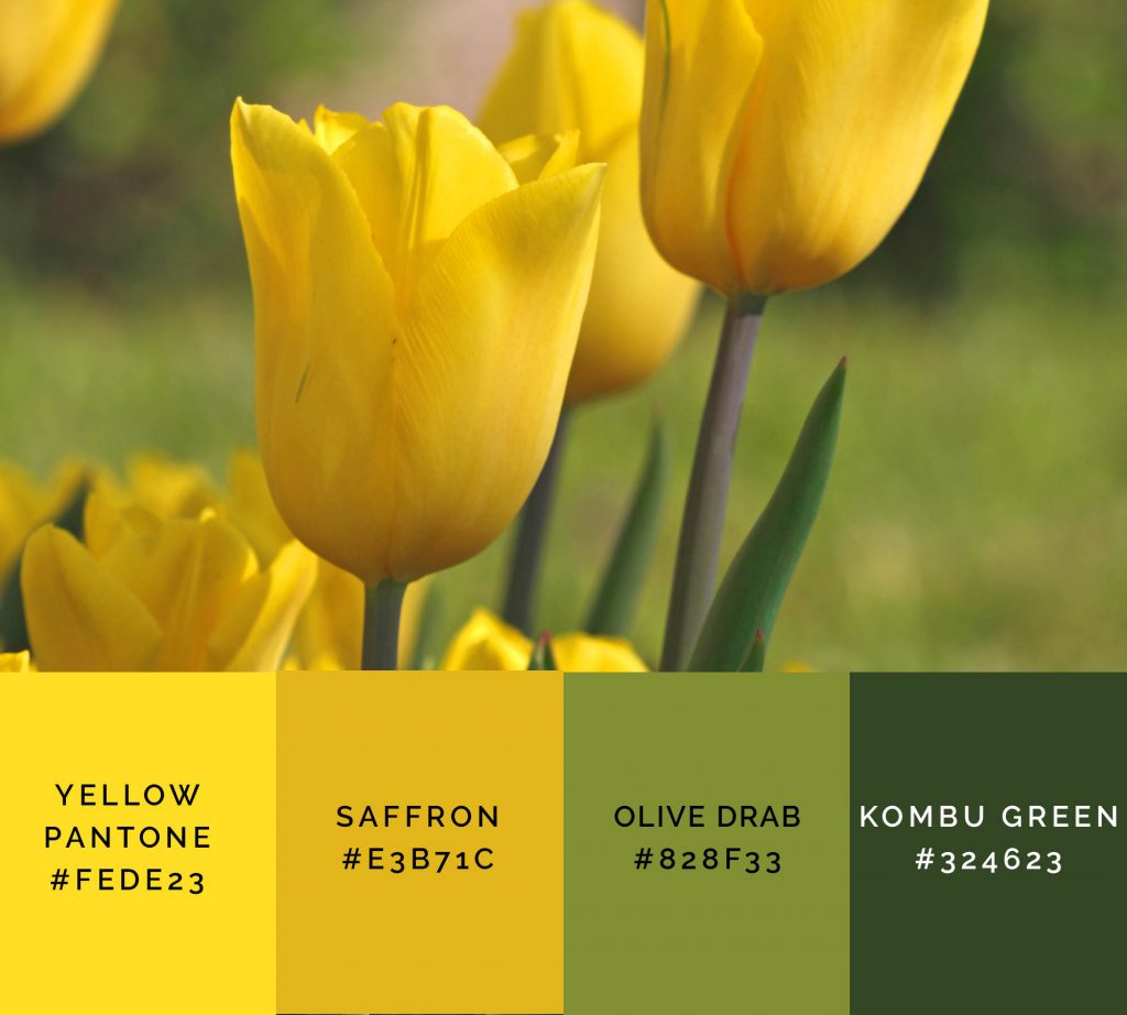 Tulips palette has shades of yellow color