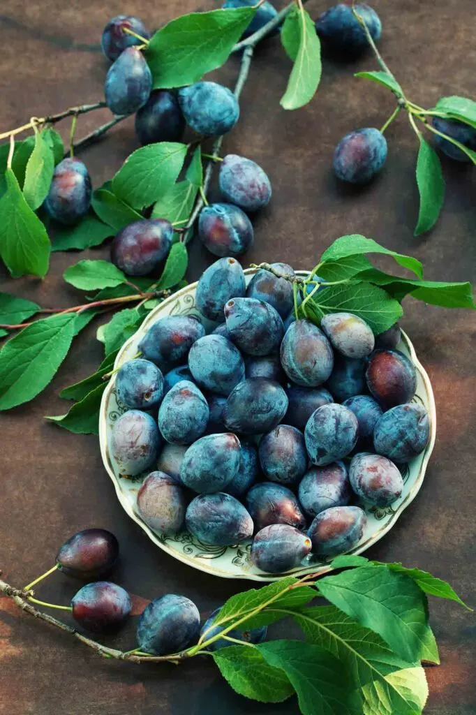 Blue Damson Plums