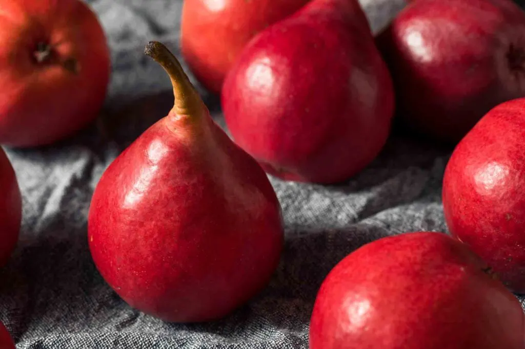 Red anjou pears