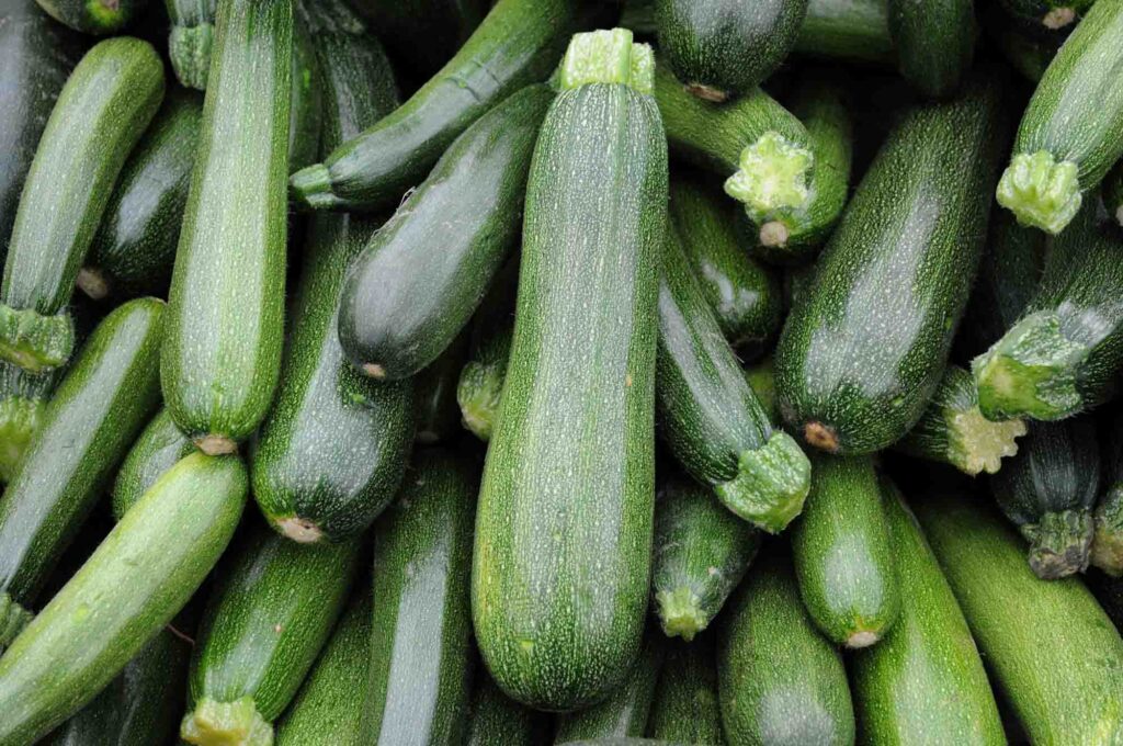 Green zucchini