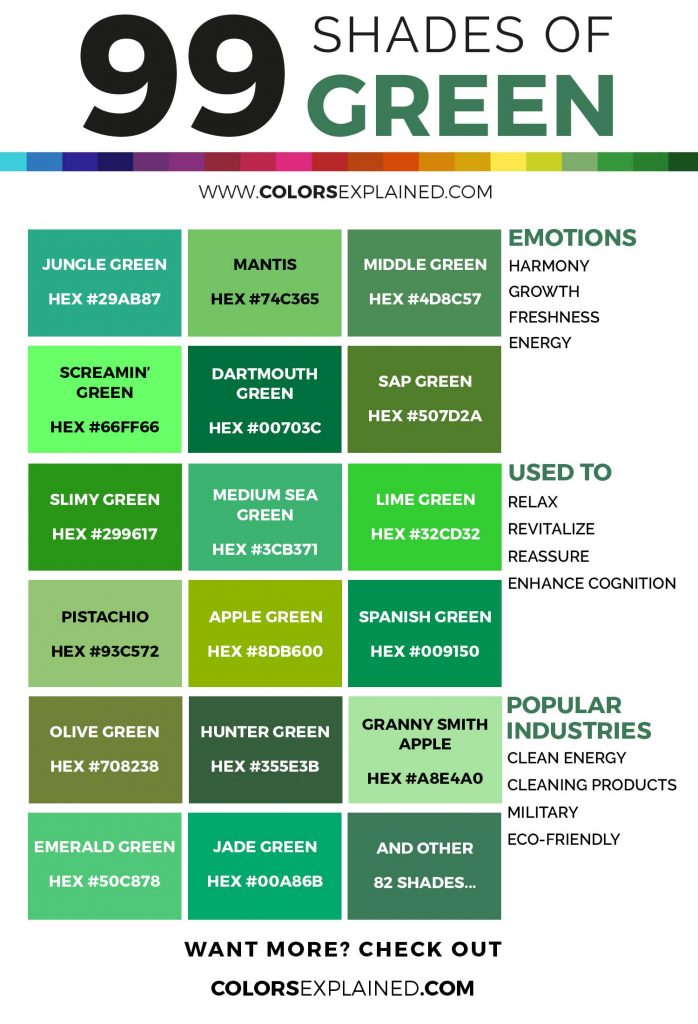 Shades of green color infographic