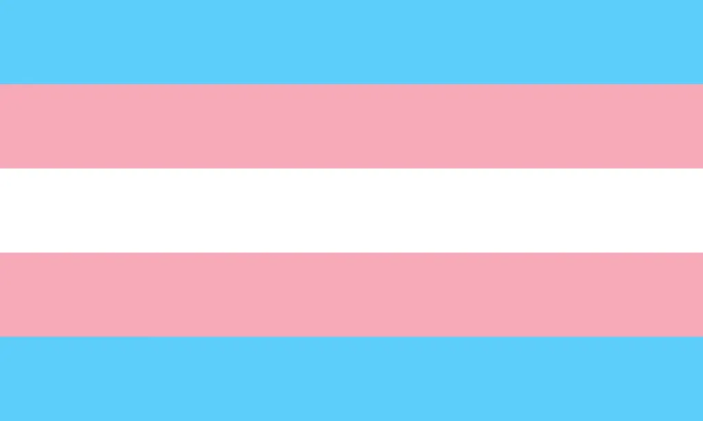 Transgender Flag