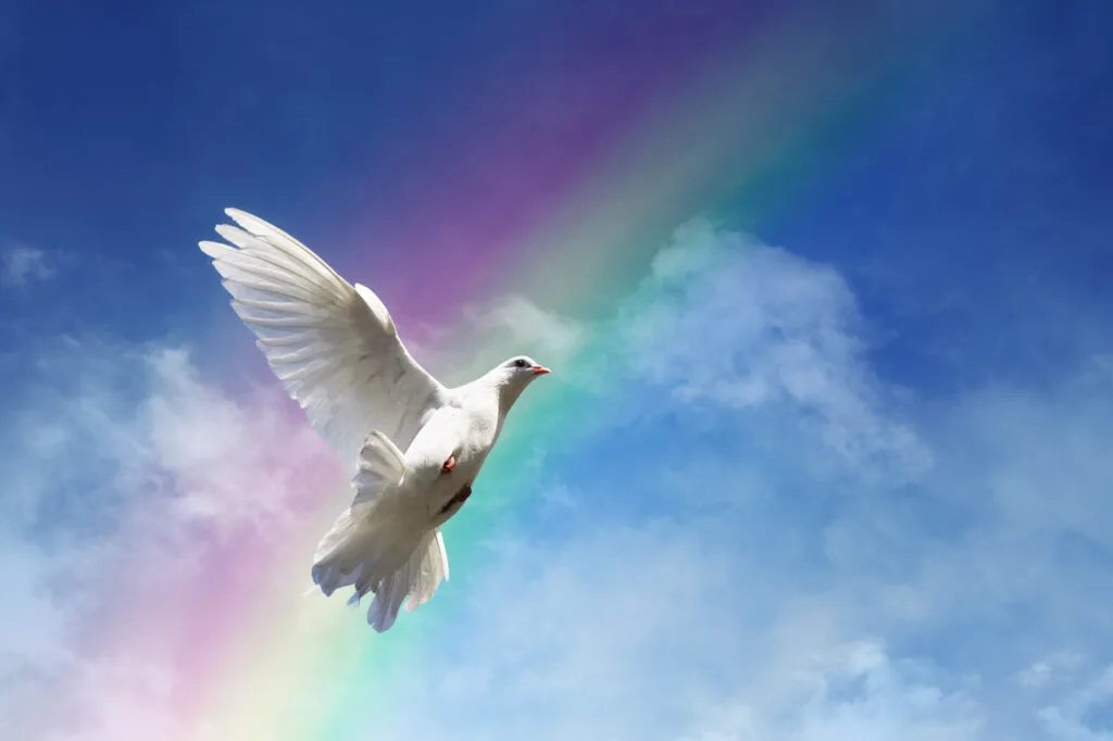 White dove and colors of the rainbow against a blue sky