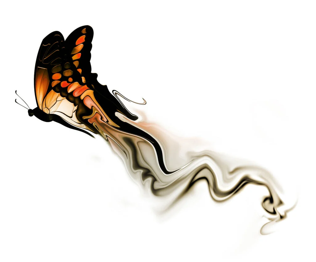 Butterfly color with smoke