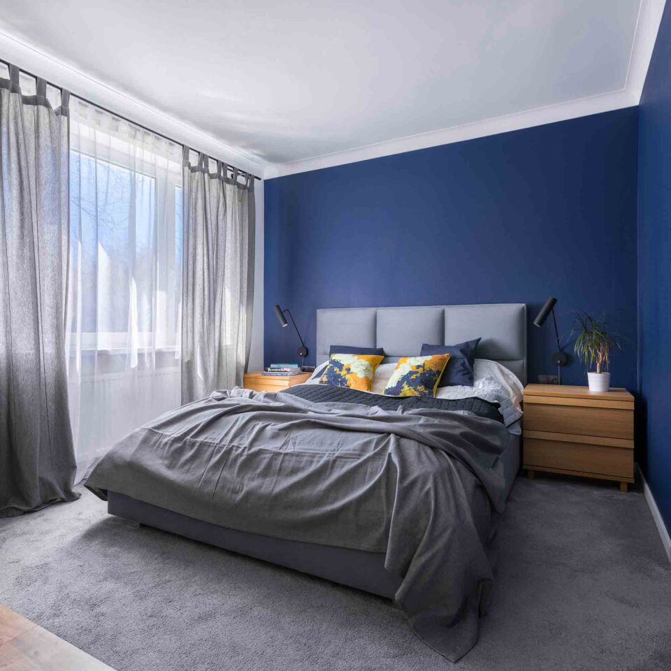Warm and Cool Colors: What They Are and How To Use Them