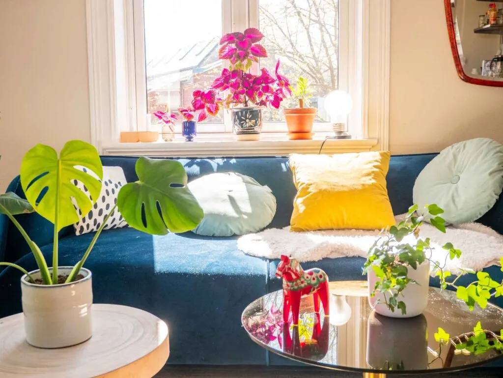 Blue, magenta, yellow, and green living room