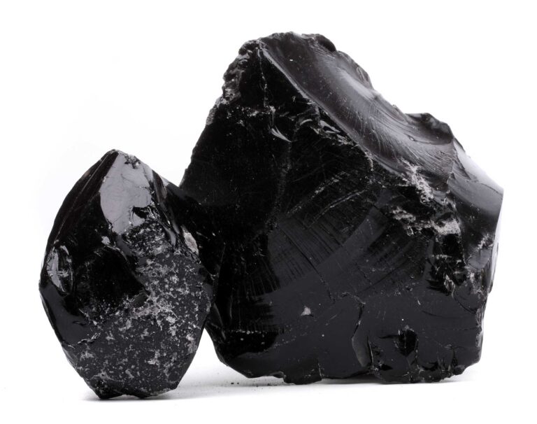 Black Things: 102 Things That Are Black in Nature (2024) • Colors Explained