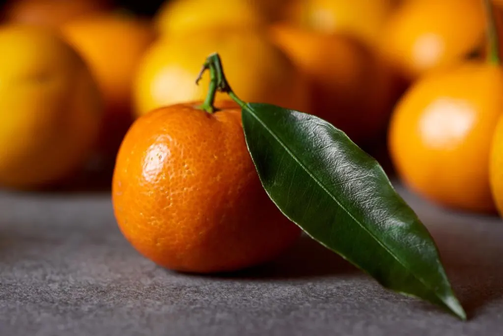 Orange clementine fruit