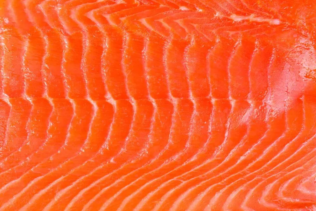 Orange salmon fish flesh