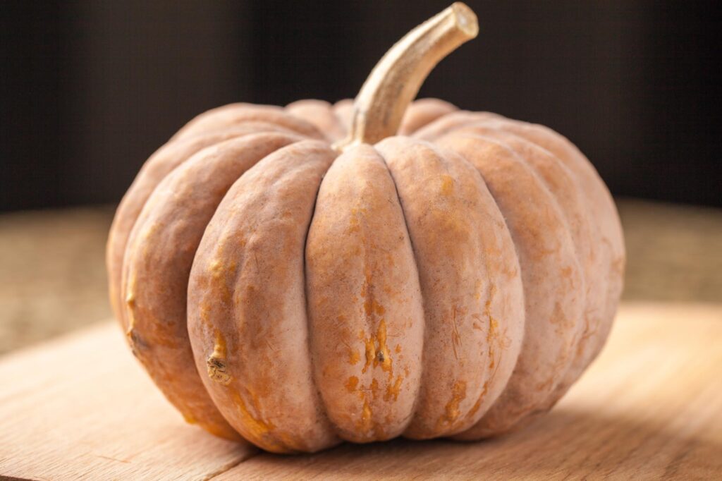 Tan is a fancy color for pumpkins