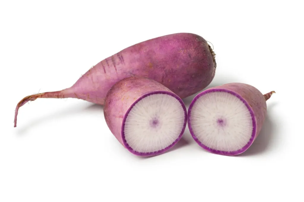 Purple Daikon radish