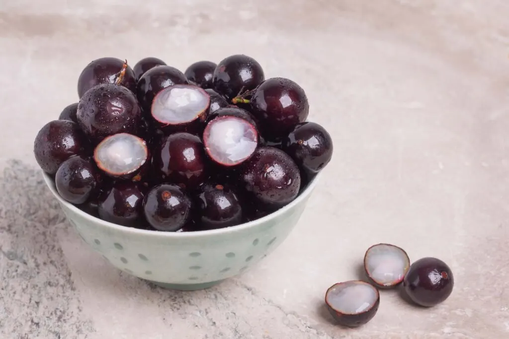 Purple jabuticaba fruit