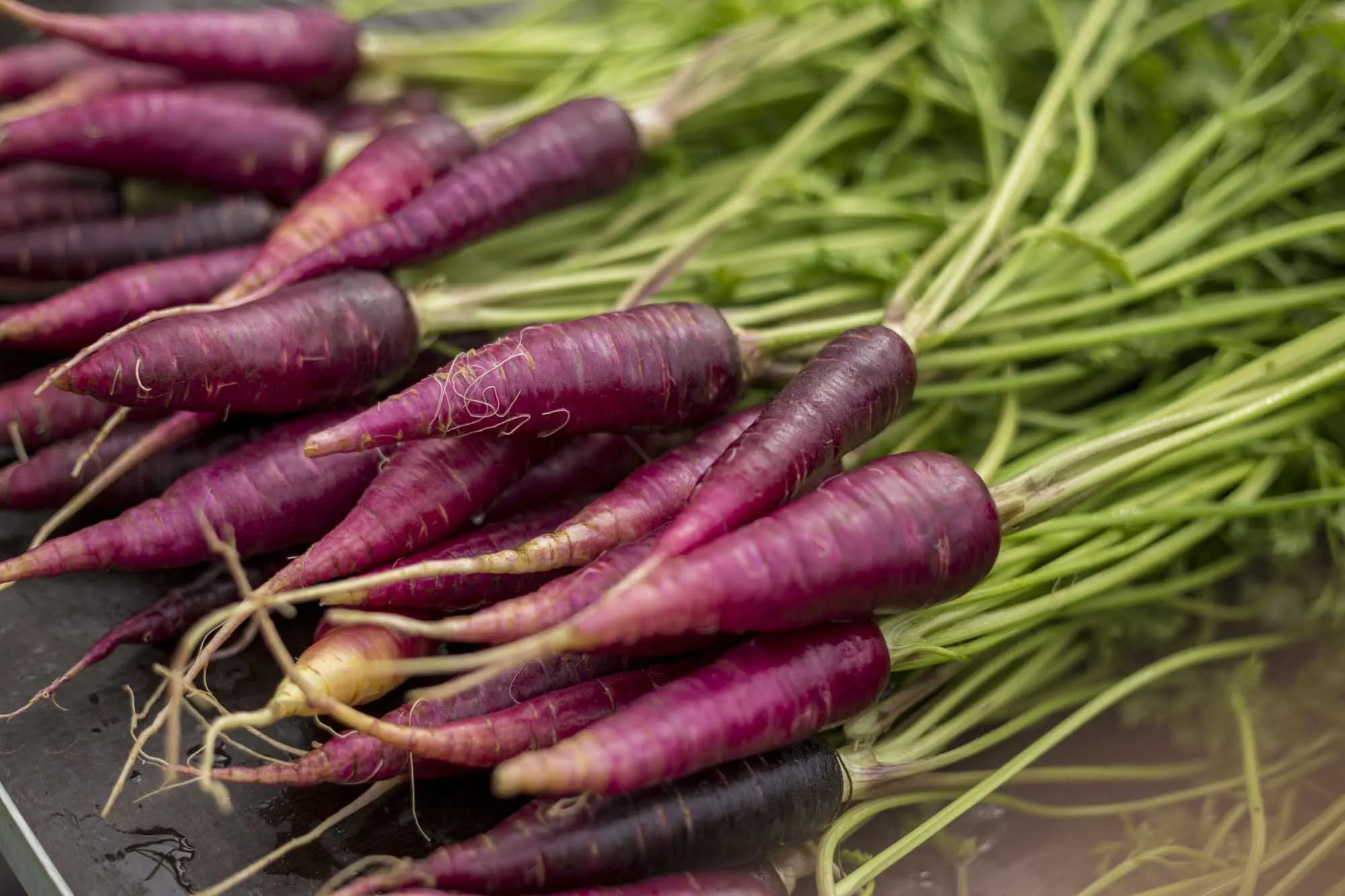 Purple carrots