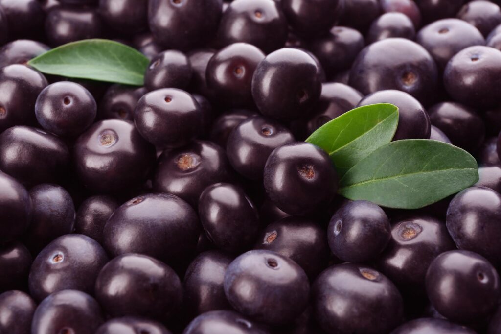 Purple Açai berries
