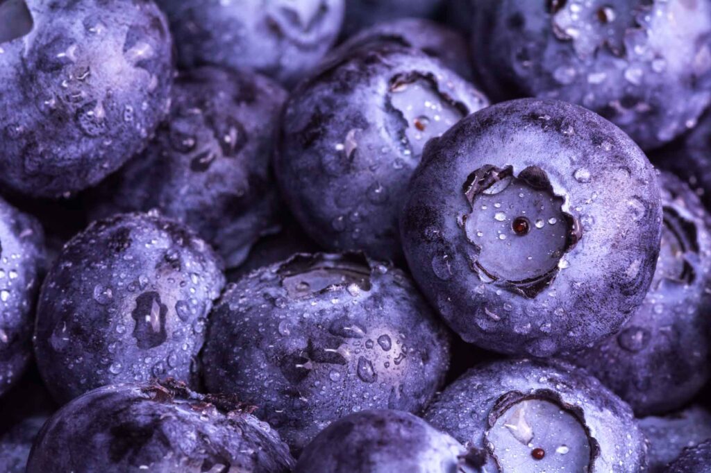 Purple blueberries