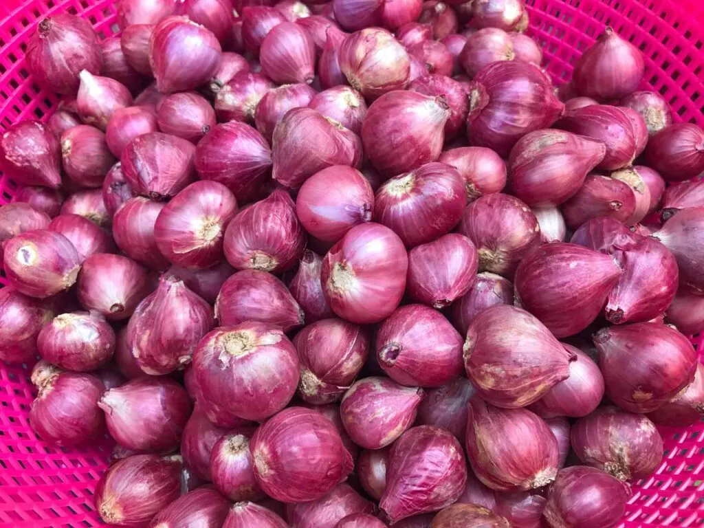 Purple shallots