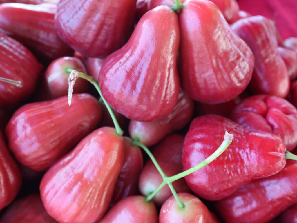 Pink bell fruits