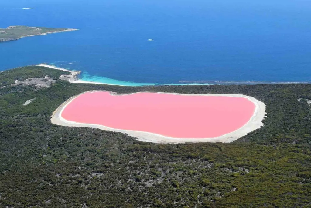 Hillier Lake in Australia, also known as the pink lake