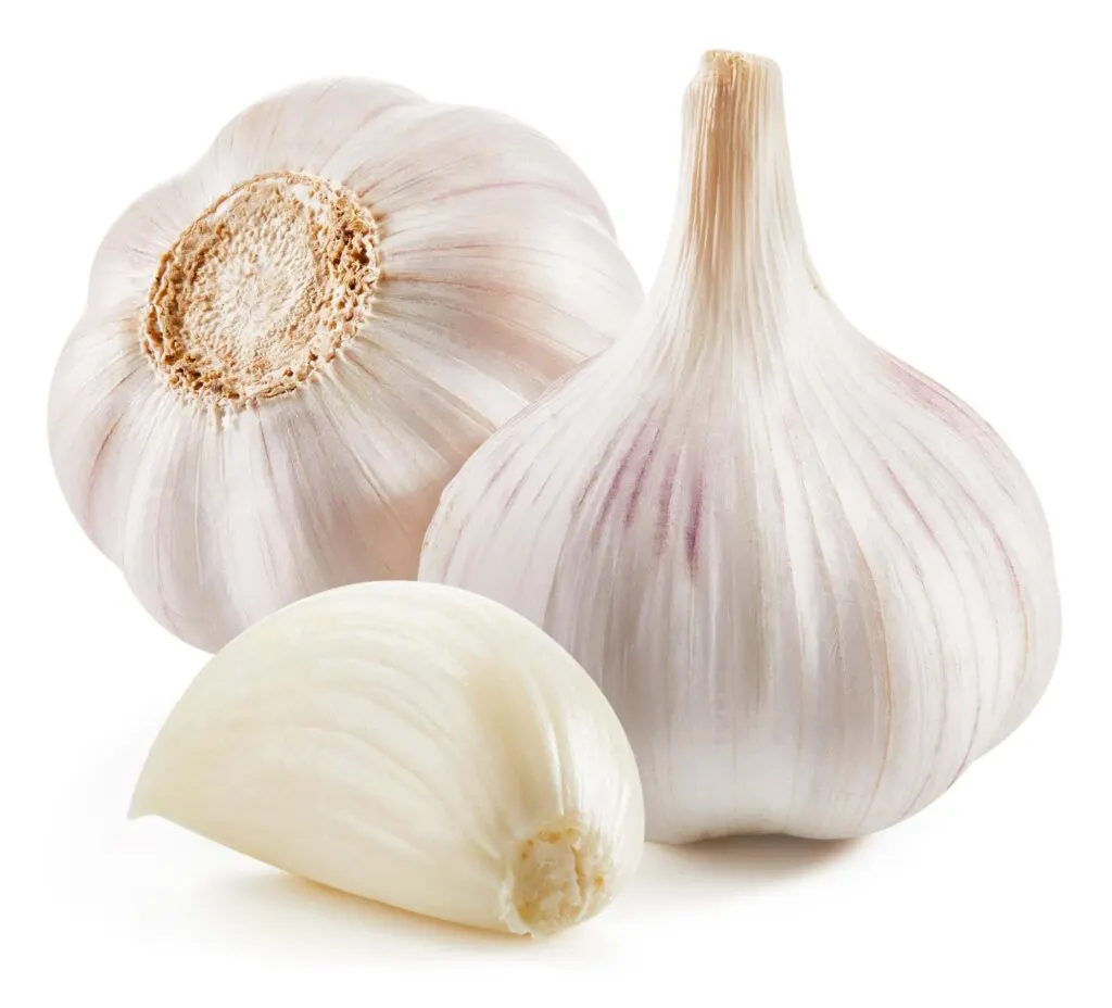 White garlic