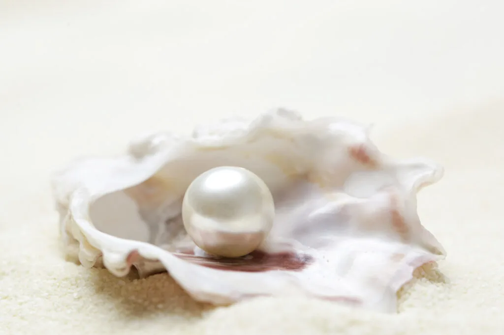 White pearl in shell