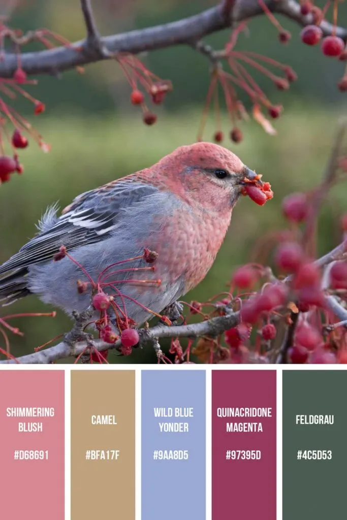 Pink bird palette has beautiful shades of pink color