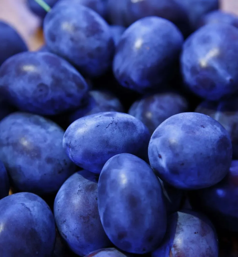 Damson plum is a blue fruit