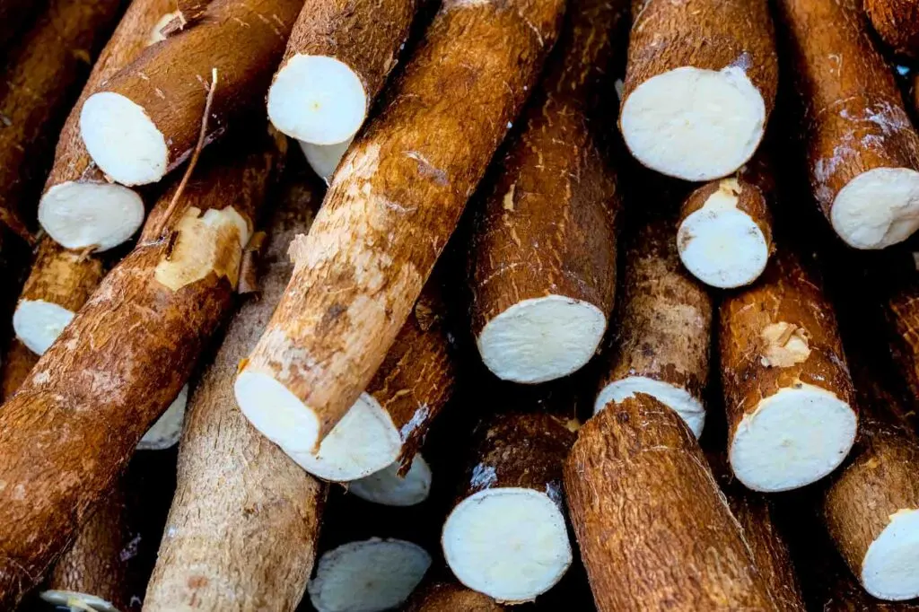 brown cassava with white flesh