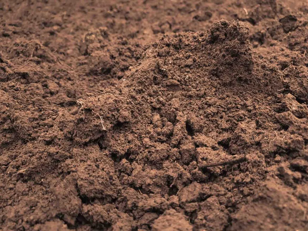 Brown ground earth soil