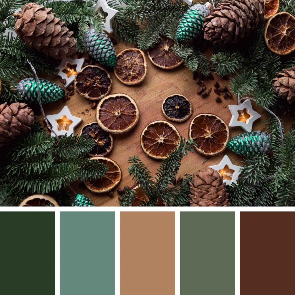 Color palette for Christmas