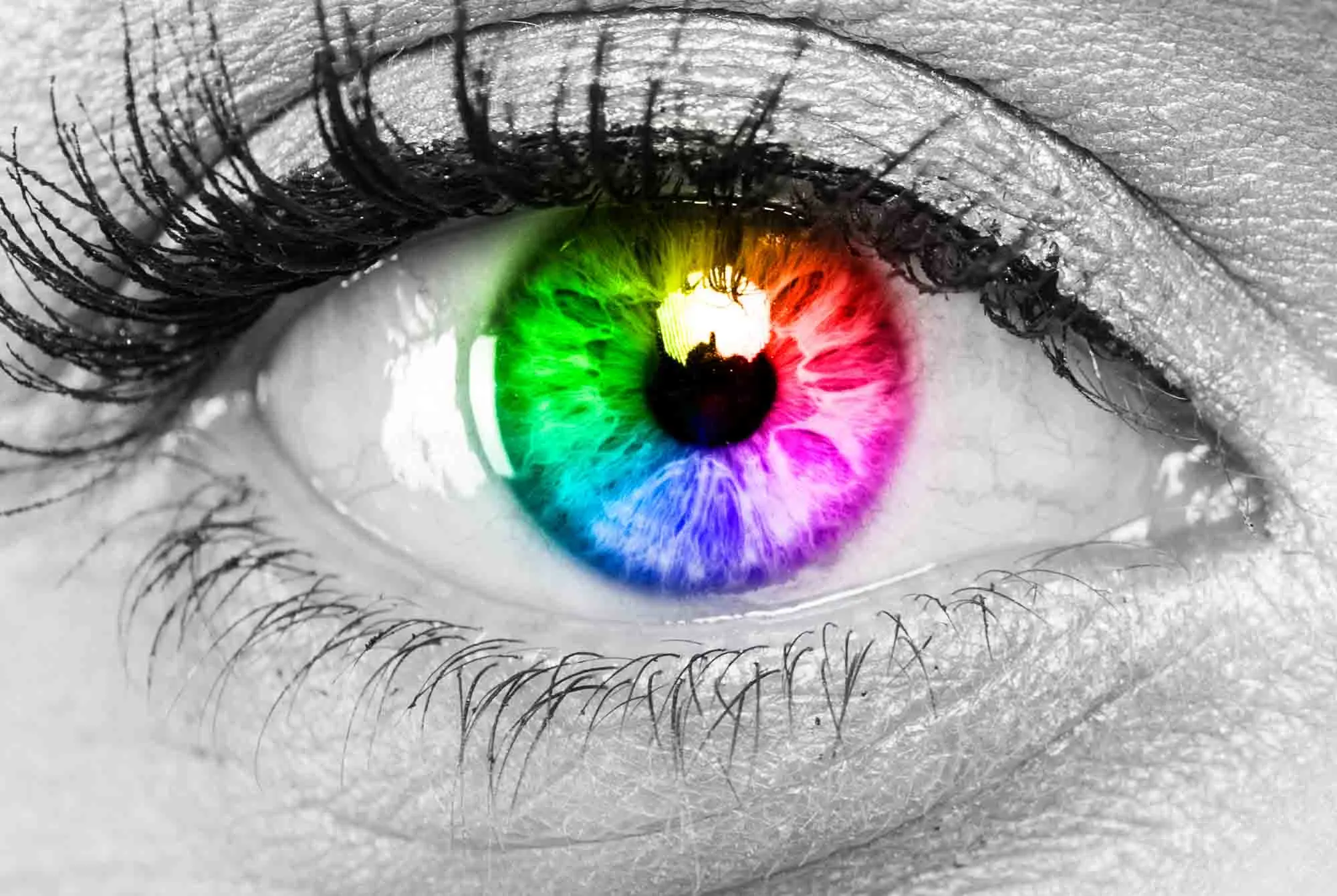 Colorful eye symbolizing the color spectrum for human vision