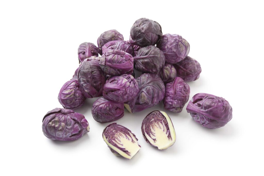Purple Brussels sprouts isolated on white background