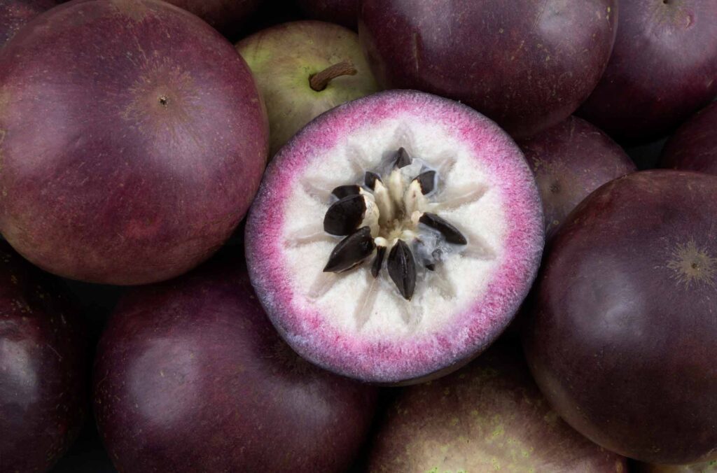 Purple star apple fruits