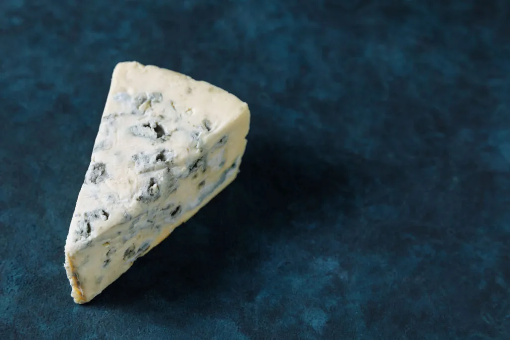 Blue cheese on a dark textured background