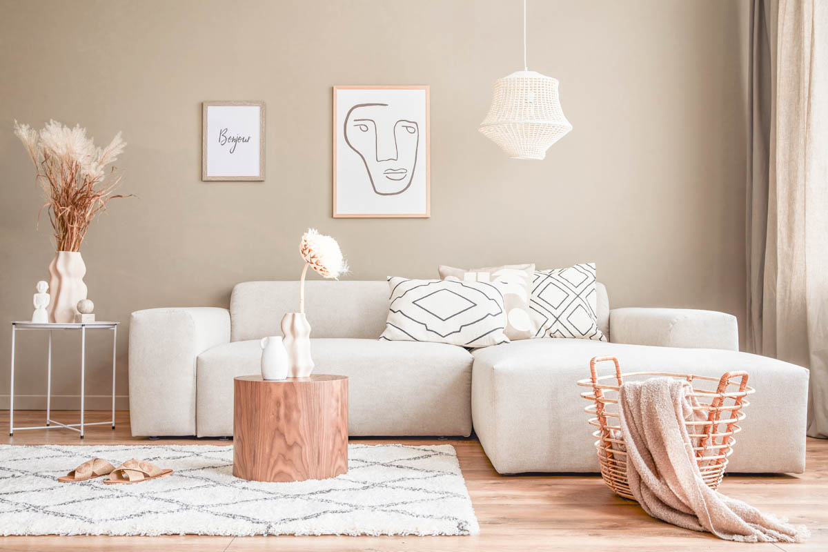 Cozy white and beige living room