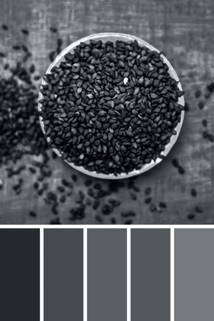 Collage of black or gray palette