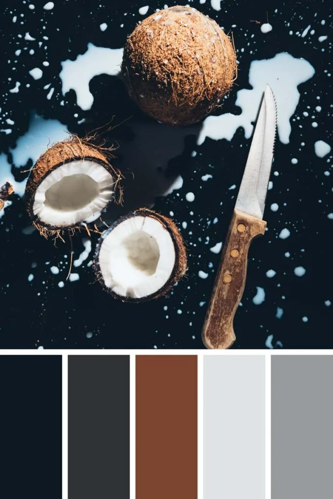 Black palette collage