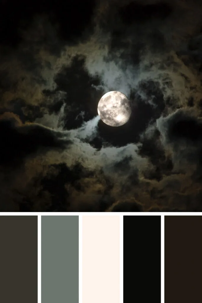 Black palette collage