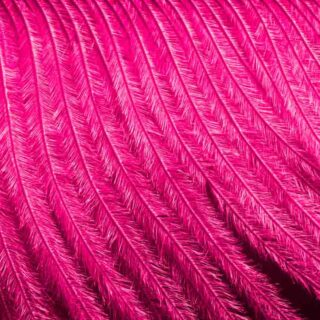 Fuchsia pink feather background texture