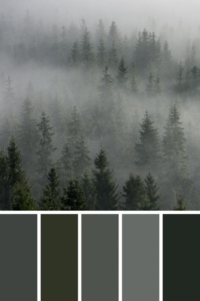 Gray palette collage
